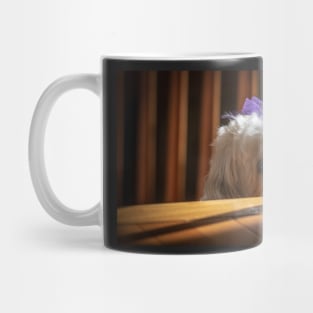 Patience Mug